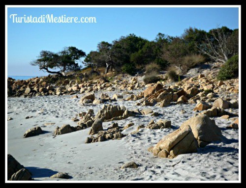 Bidderosa-Sardegna-Mare