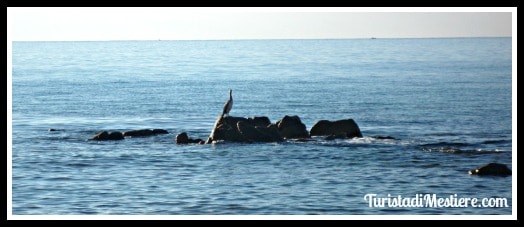 Bidderosa-Sardegna-Mare