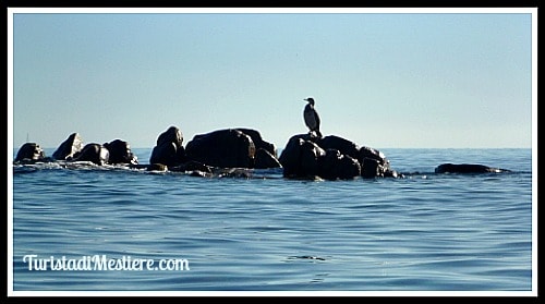 Bidderosa-Sardegna-Mare