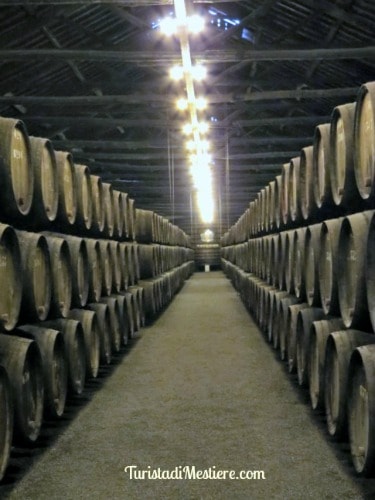 Cantine Taylor's - Oporto