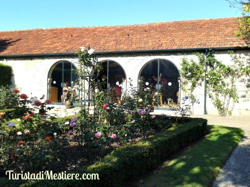 Cantine Taylor's - Oporto