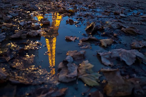 Autumn in Paris