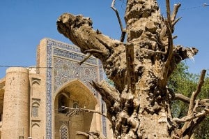 Bukhara Lyab-i Hauz Bukhara-Lyab-i-Hauz