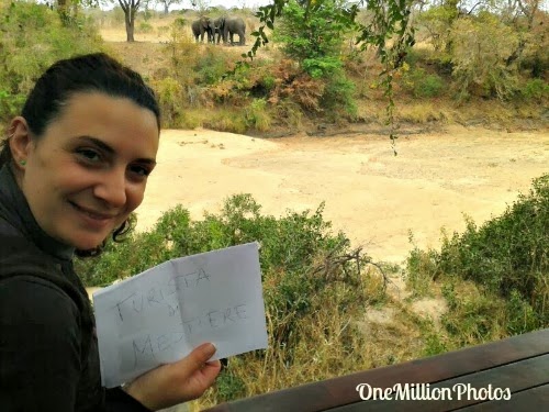 One-Million-Photos_289_Parco-Kruger-Sudafrica One Million Photos