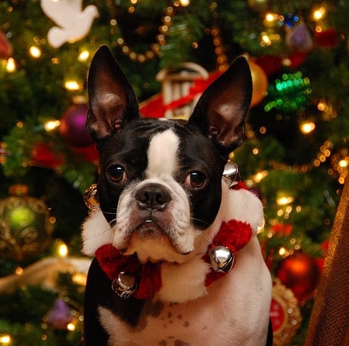 xmas