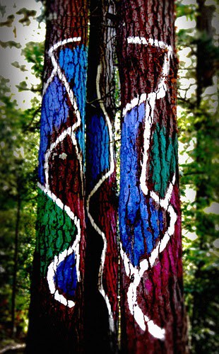 Bosque de Oma, il bosco incantato dei Paesi Baschi Bosque de Oma, il bosco incantato dei Paesi Baschi