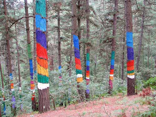 Bosque de Oma, il bosco incantato dei Paesi Baschi Bosque de Oma, il bosco incantato dei Paesi Baschi