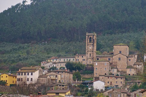 Borgo delle Camelie - Lucchesia Borgo delle Camelie - Lucchesia
