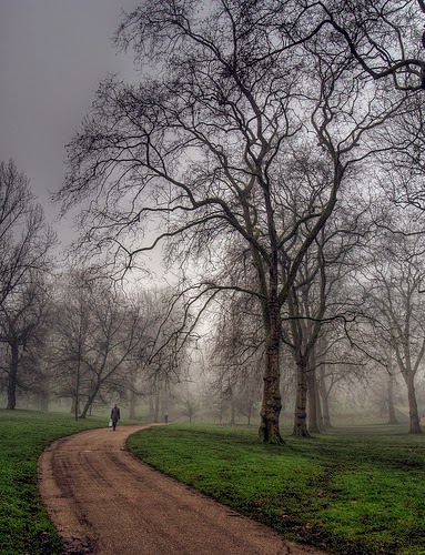 Fog-in-England Fog in England
