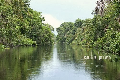 Parco del Tortuguero Costa Rica