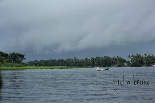 Parco del Tortuguero Costa Rica