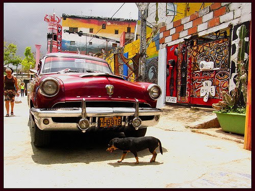 Callejon de Hamel, L'Avana, Cuba