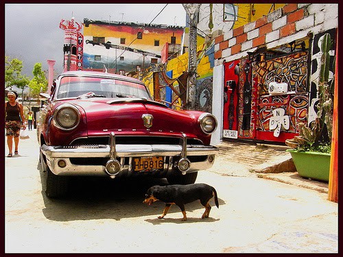 Callejon de Hamel, L'Avana, Cuba Callejon de Hamel, L'Avana, Cuba