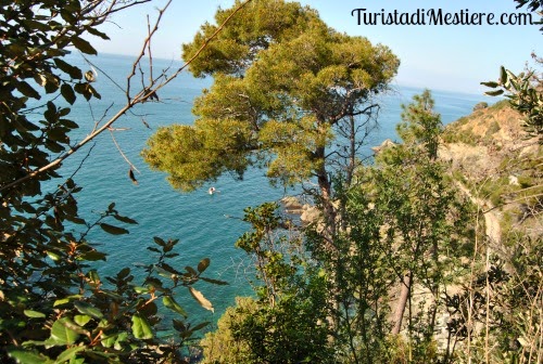 La-Francesca-Bonassola-Cinque-Terre