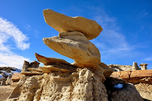 Bisti Badlands Wilderness Area, New Mexico