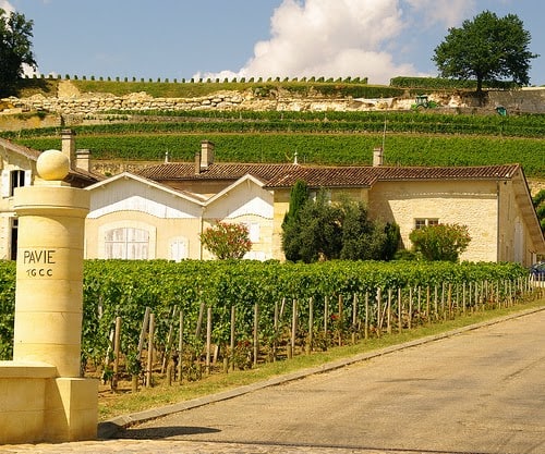 Saint-Emilion, vigneti Saint-Emilion, vigneti