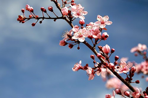 Spring is here