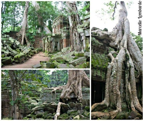 Angkor-Wat-cambogia