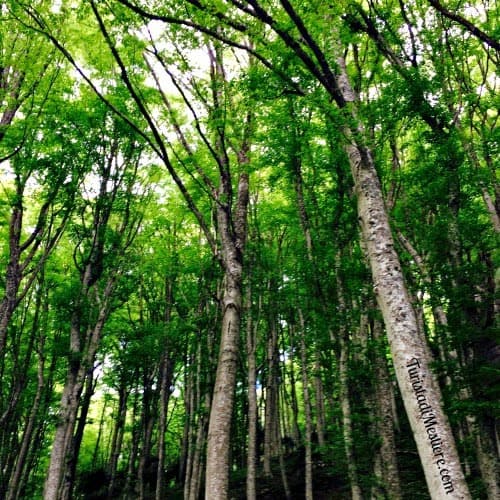 Cosa vedere in Casentino e Vallesanta