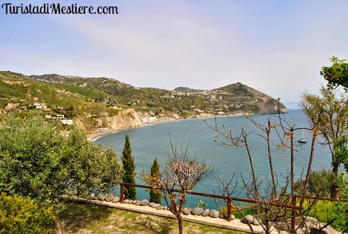 Panorama sulla spiaggia delle Fumarole Ischia-panorama-spiaggia-fumarole