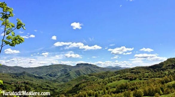 Panorama del Casentino
