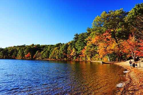 Walden+Pond+Massachusetts.