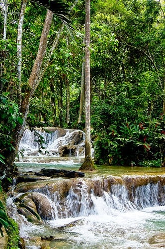Dunn's River Falls, Jamaica - foto | Evoflash