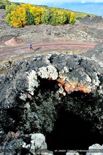 Mandala Trail