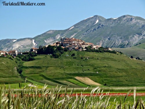 castelluccio norcia fioritura