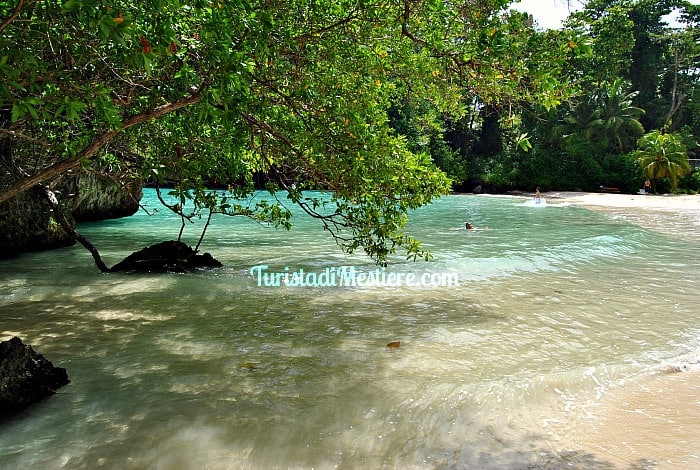 Frenchman s Cove, Port Antonio, Jamaica