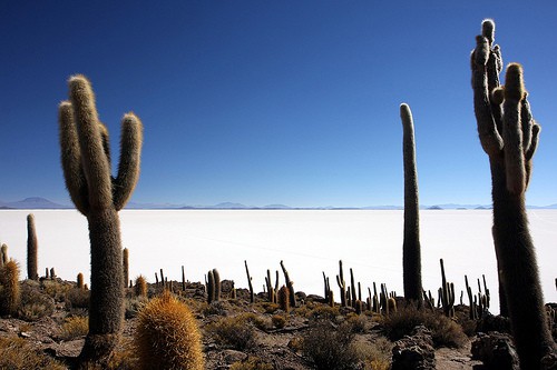 Salar-de-Uyuni Salar de Uyuni Bisti Badlands
