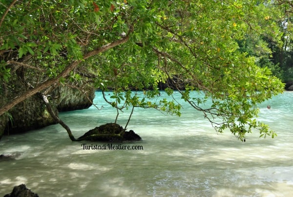 Frechman's Cove, Jamaica