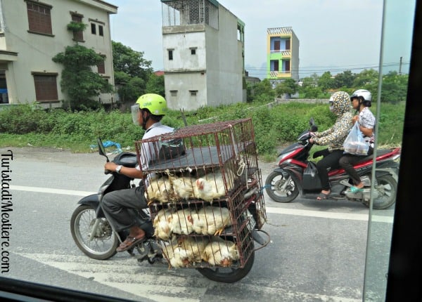 vietnam-mezzi-trasporto-9.