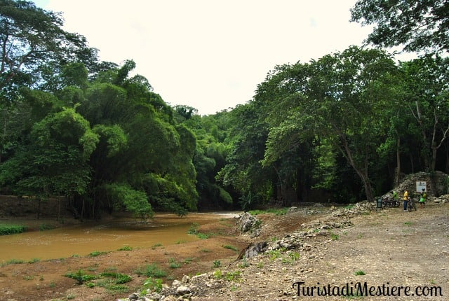 Rafting-Jamaica-Martha-Brae