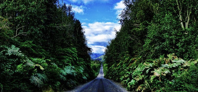 carretera Austral [photo credit Mariano Mantel]