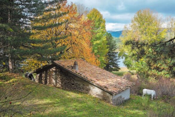 Sila in Calabria