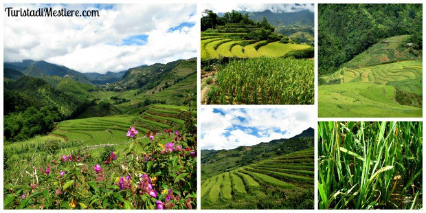 vietnam sapa trekking