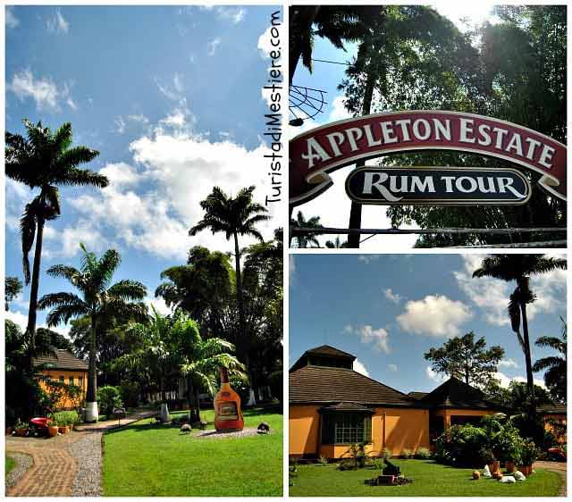 Appleton Rum Estate Tour, Jamaica 