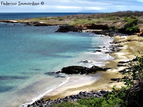 Galapagos-Island