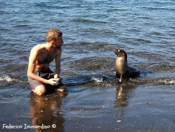 Galapagos-animals Galapagos animals