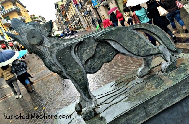 Il lupo della Sila simbolo di Cosenza