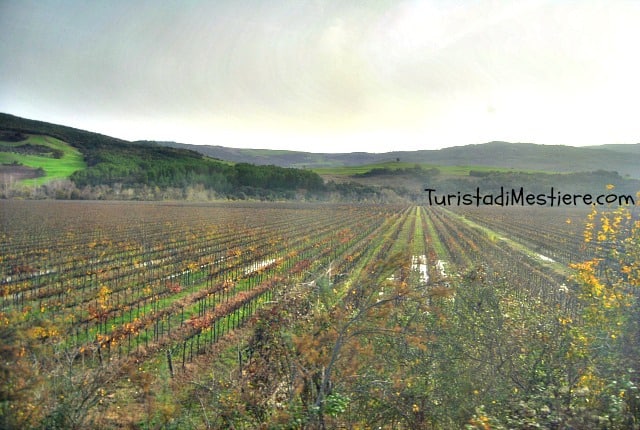 Panorama dal Treno Natura [photo credit Turista di Mestiere tutti i diritti sono riservati]