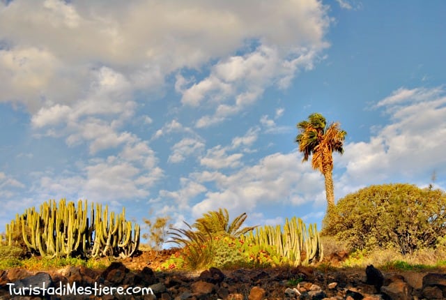 Tenerife-island