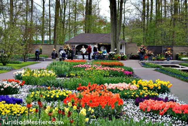 Keukenhof, giardino