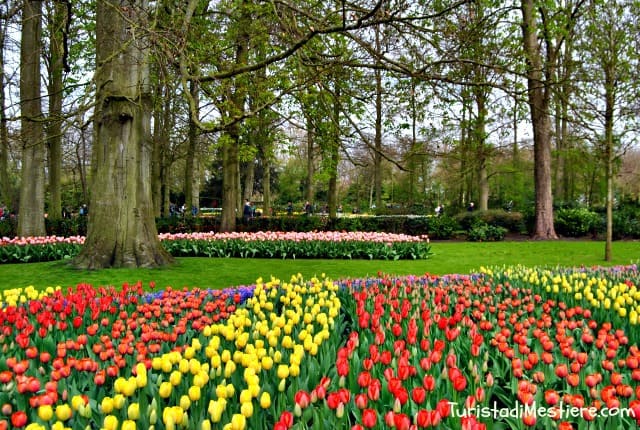 Keukenhof