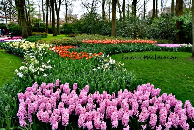 Keukenhof