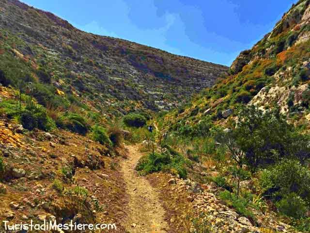 Canyon nella Riserva Naturale Orientata Isola di Lampedusa