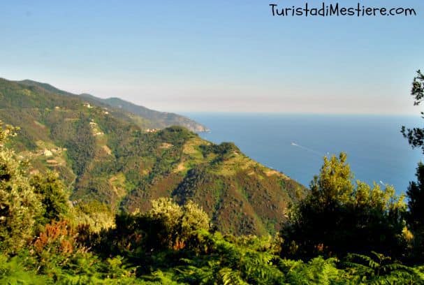 Cinque-terre-panorama