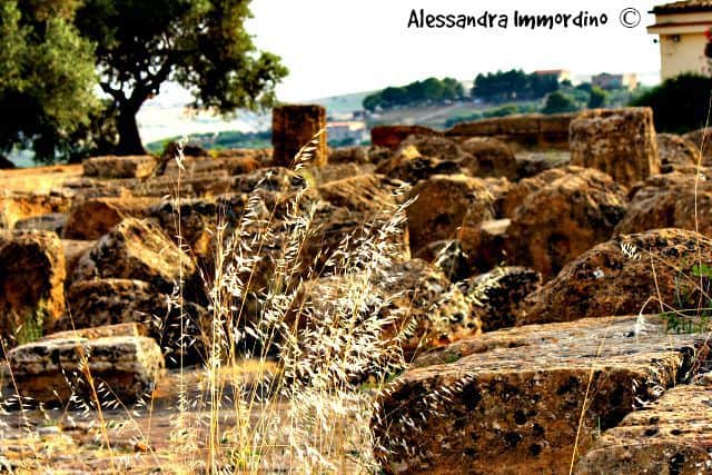 Valle-templi-Agrigento-Tempio Zeus