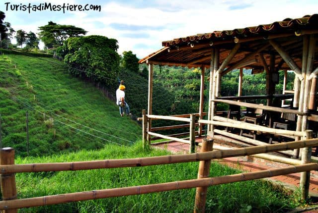Canopy tour sulle piantagioni